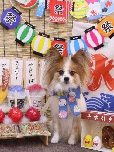 20240712ボタンちゃん